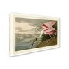 Trademark Fine Art John James Audubon 'Roseate Spoonbill' Canvas Art, 22x32 AA01235-C2232GG